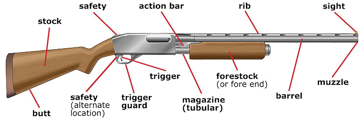 Parts of a pump-action shotgun