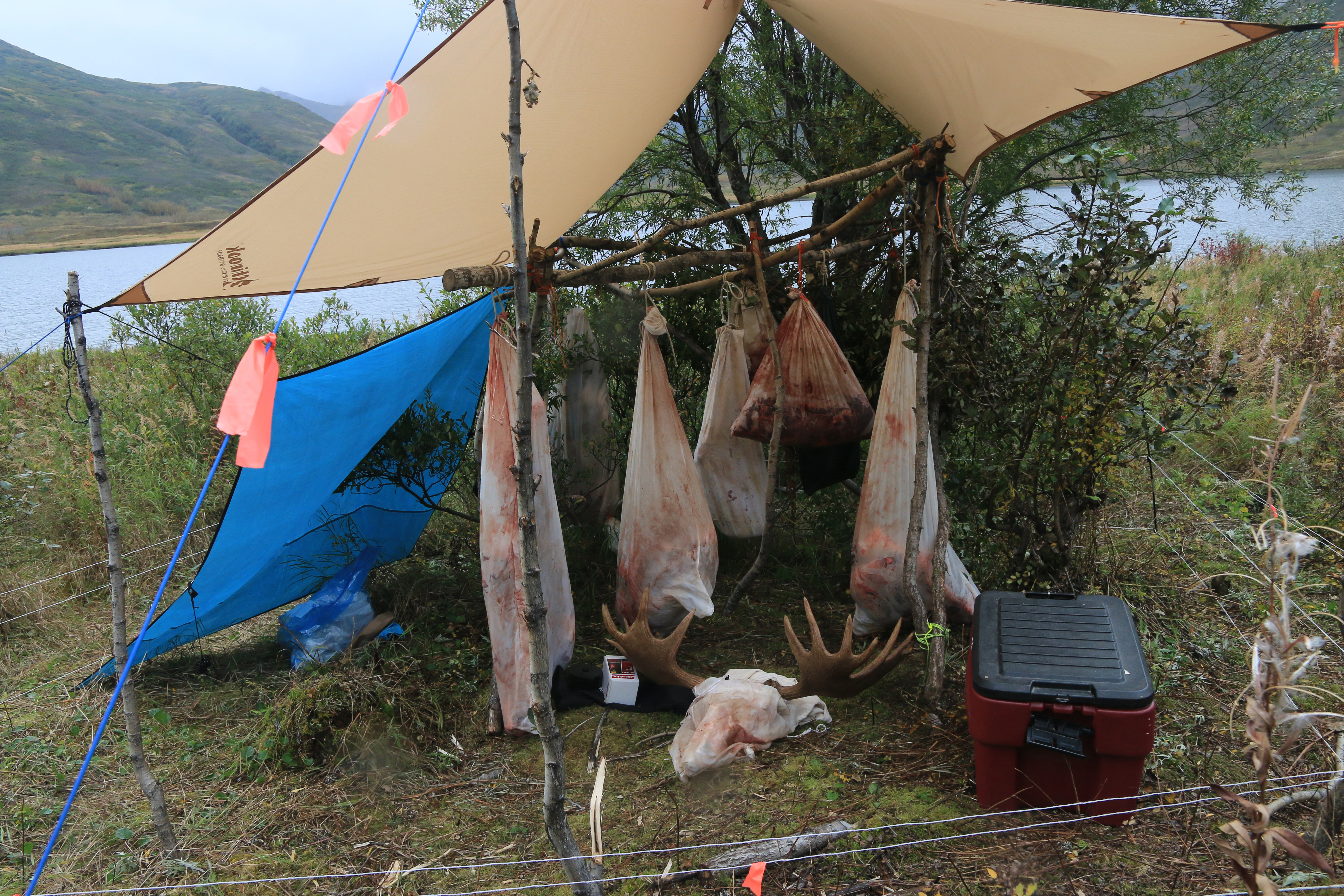 Keeping meat safe during transport