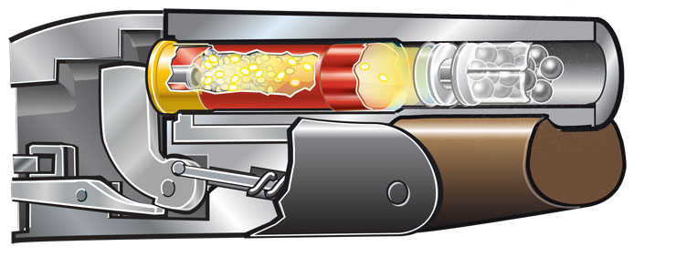 Cutaway: Expanding gas forces the wad and shot out of the plastic body of the shell