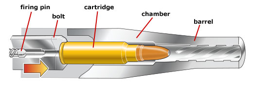 Cutaway: Bolt closing with parts labeled