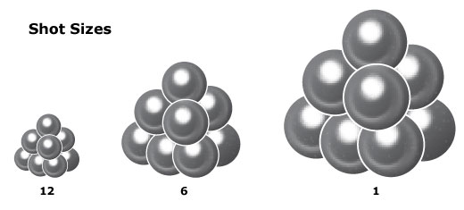 Comparison of three shot sizes