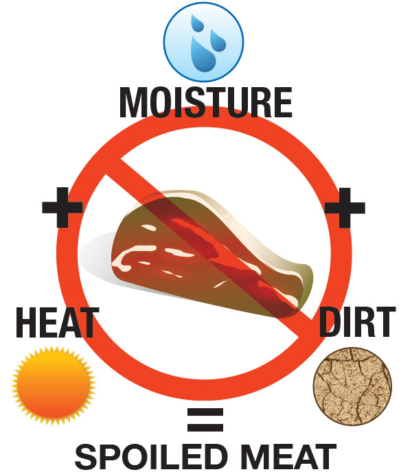 Bacteria spoils meat