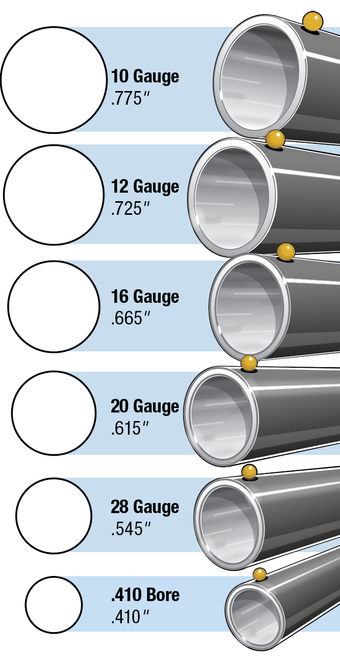 Shotgun gauge sizes