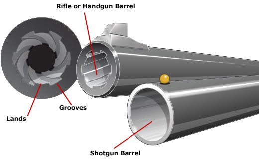 Rifle, handgun, and shotgun bores