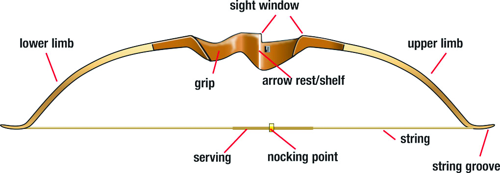 Recurve bow with parts labeled