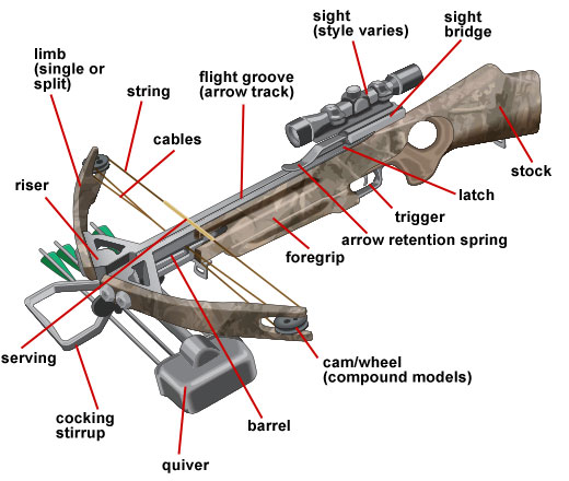 Compound crossbow diagram identifying parts