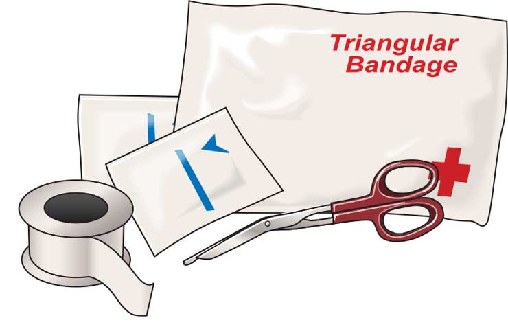 Parts of a first-aid kit