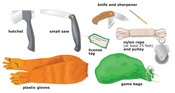 Game care tools and equipment