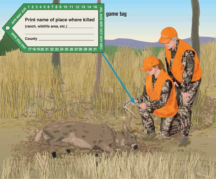 Hunter attaching game tag