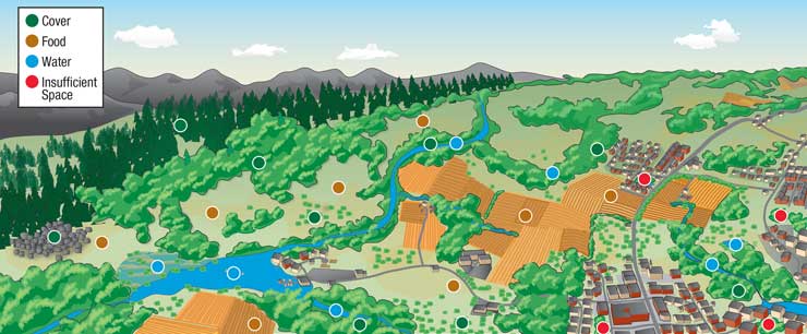 Locations of cover, food, waters, and insufficient space shown in a habitat