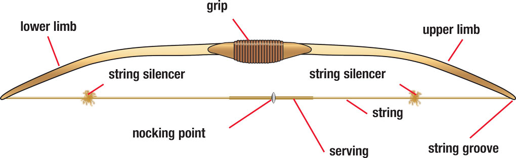 Bow with the lower limb, grip, upper limb, string groove, string silencer, serving, nocking point, string silencer labeled