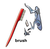 Muzzleloader cleaning supplies: brush