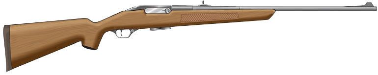 Semi-automatic rifle