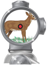 Telescopic sight with a dot reticle