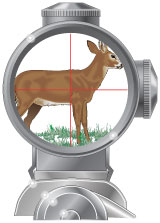 Telescopic sight with a crosshair reticle