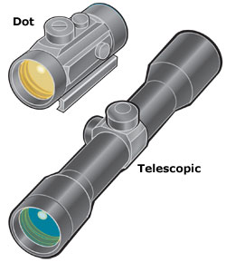 Dot sight and telescopic sight