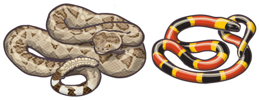 Venomous snakes