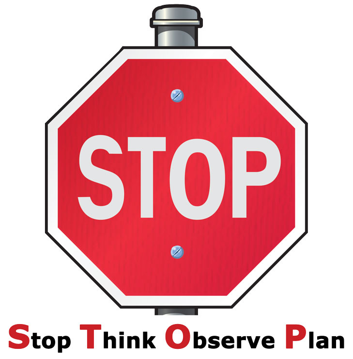 Stop, Think, Observe, Plan