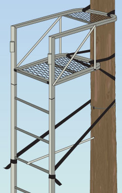 Ladder tree stand