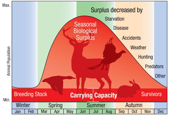 Wildlife Carrying Capacity Graph